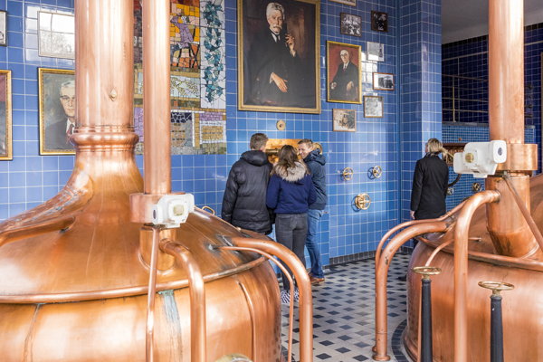Bavaria brouwerijtoer B&B in de wei