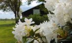 B&B In de wei - Lente