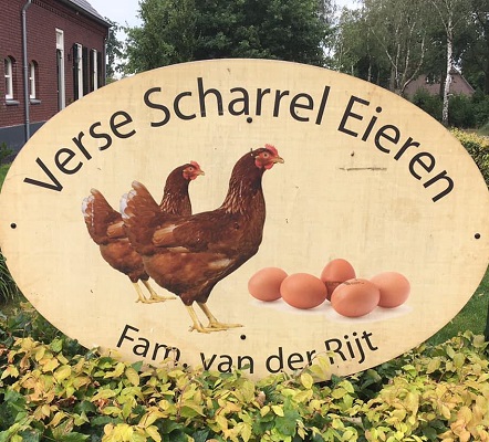 Scharreleieren v.d. Rijt