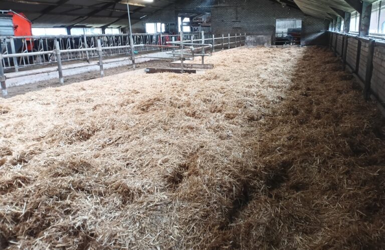 Nieuw strohok voor ons vee