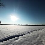 Sneeuw in de wei