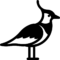 Weidevogelbeheer