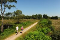 Wandelroutes in Noord Brabant B&B in de wei