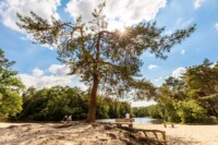 Natuurgebieden B&B in de wei