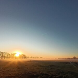 Winterzon komt op B&B in de wei